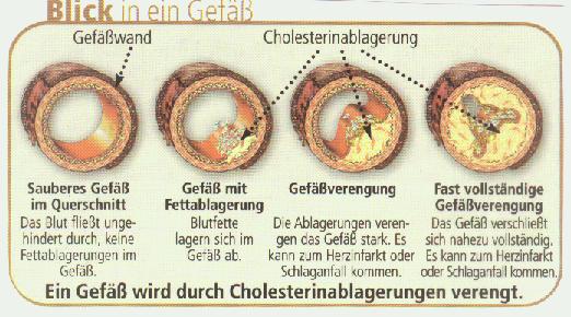 Hier klicken um zurück zur Homepage zu gelangen